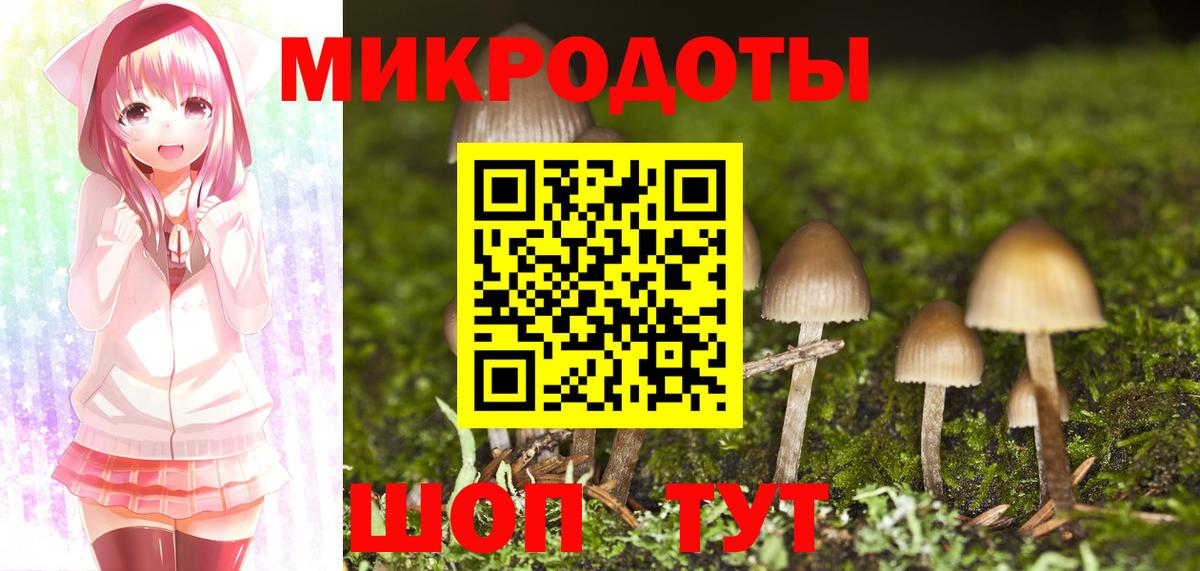 Галлюциногенные грибы ЛСД Салехард